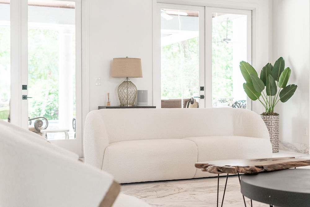 Modern living room with white sofa and potted plant