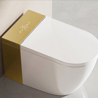 SMART TOILET