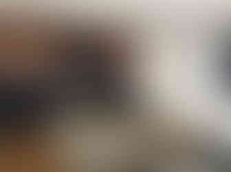 refresh your living room decor by Visual Studio Plus Interior Designer Denver CO