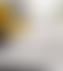 refresh your living room decor by Visual Studio Plus Interior Designer Denver CO