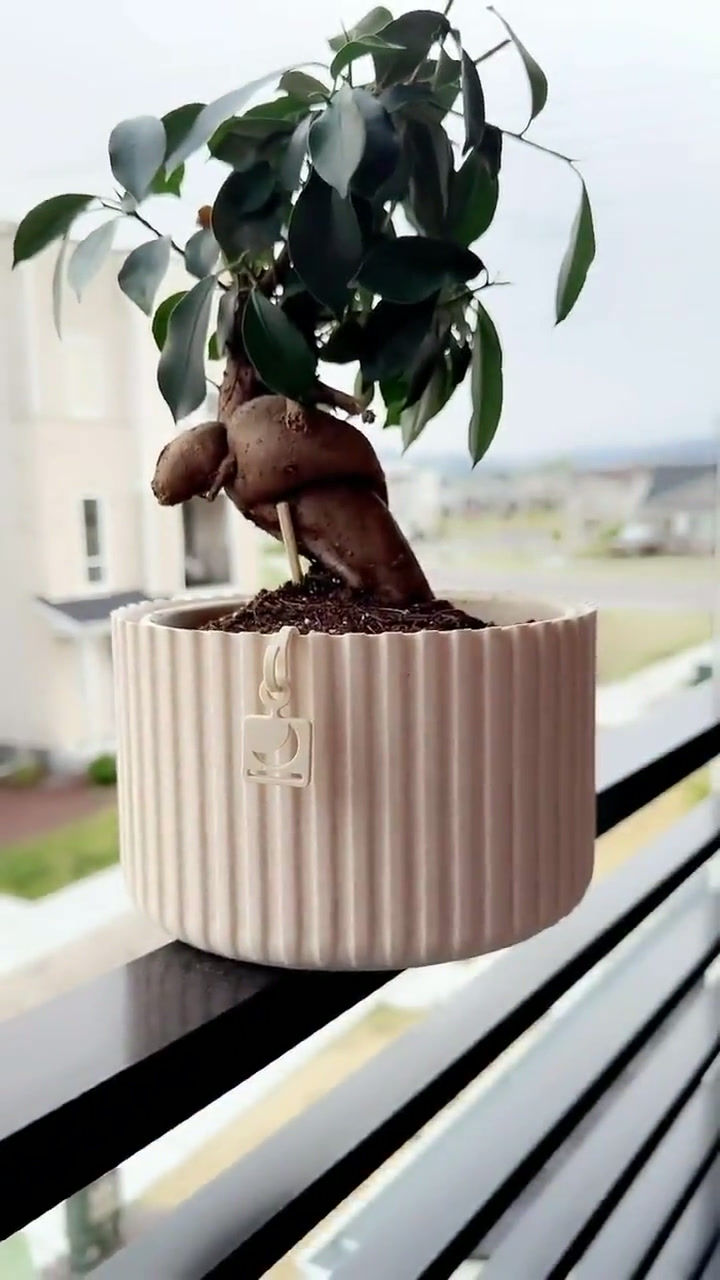 Thumbnail: CHARMS for Pots/Planters 3D Printed