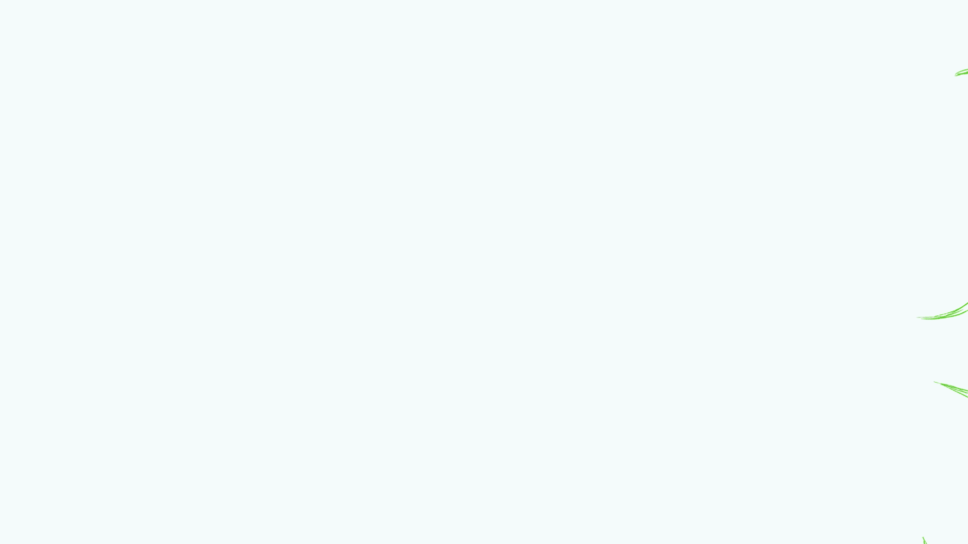 chase_process.gif