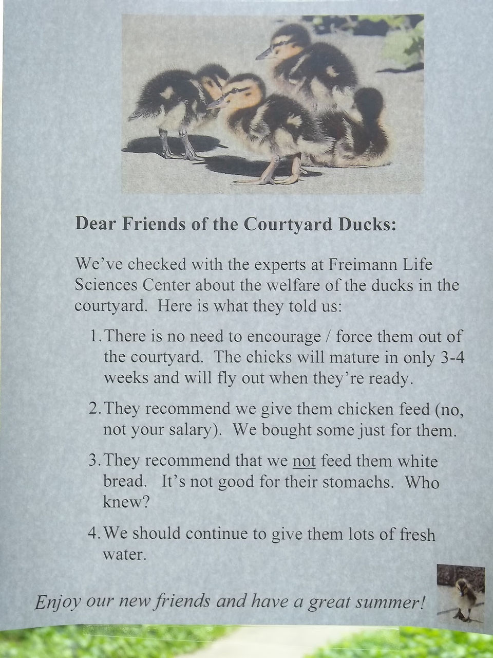 Notice Poster