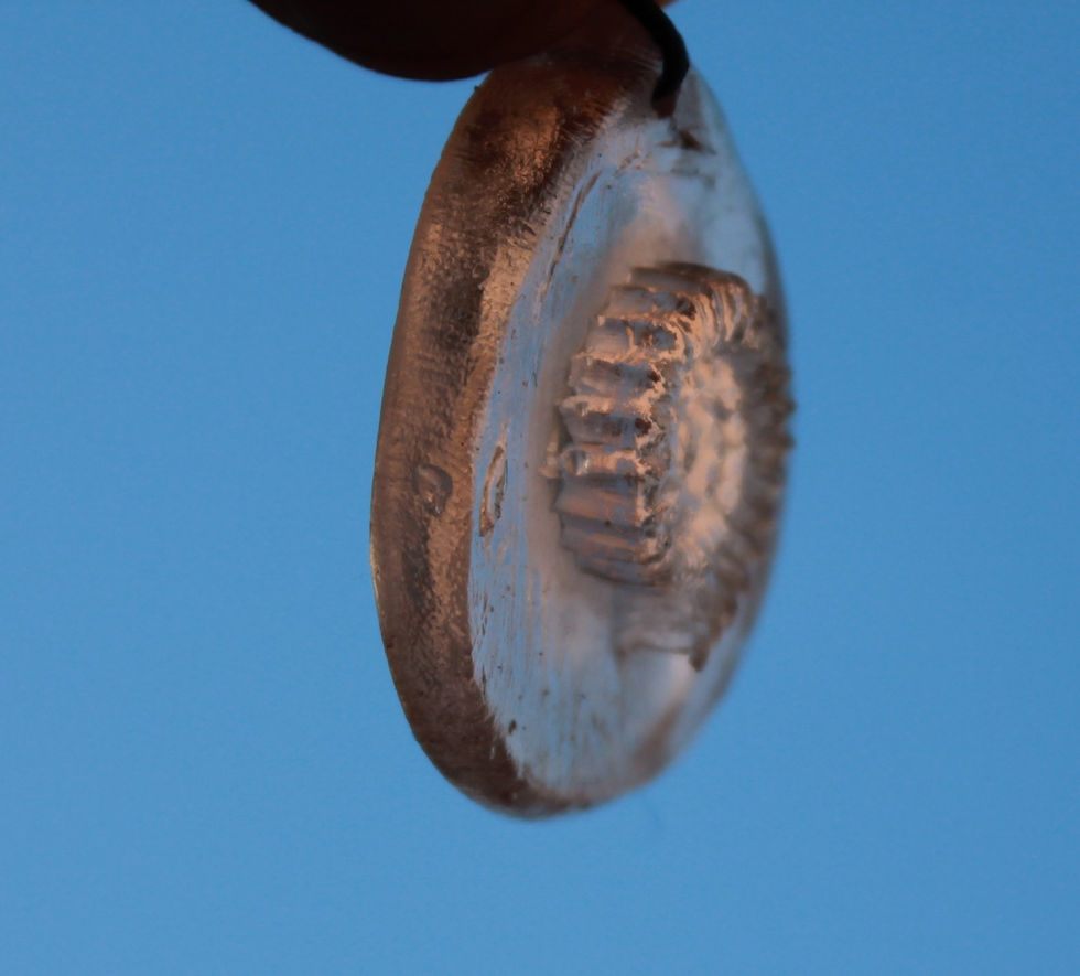 Miniatura: Colgante Ammonite