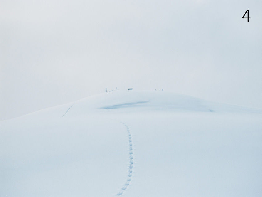 サムネイル： echo Special Edition