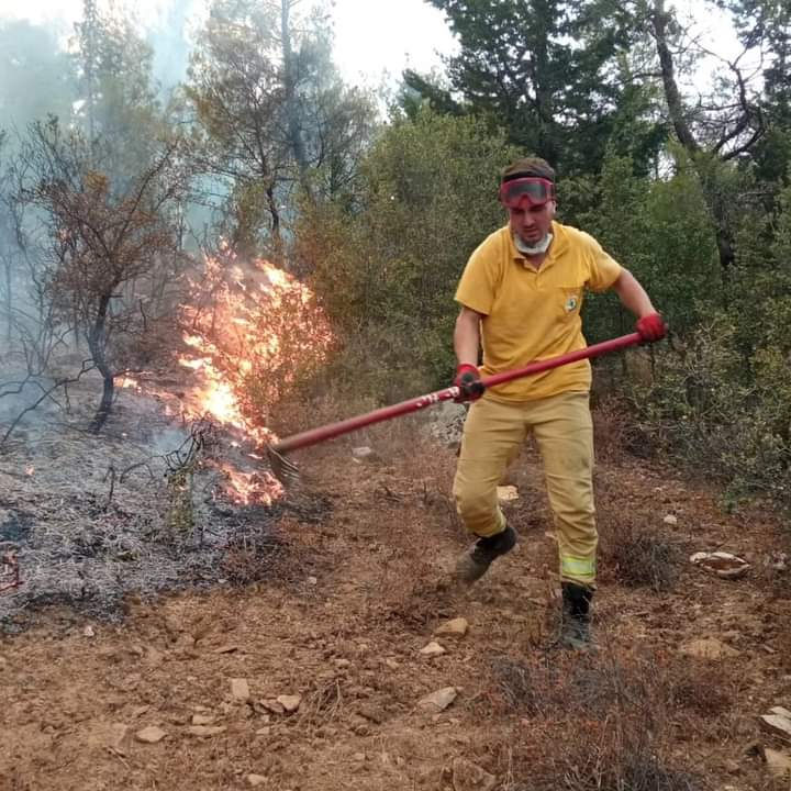 ree