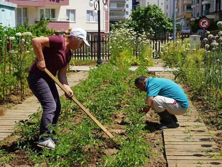 AtaTohum’da tohumlar geleceğe taşınıyor