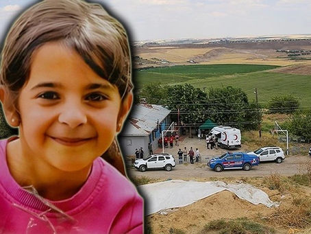 Narin'in köyü Tavşantepe'de 'çocukların psikolojik durumuna' ilişkin dikkat çeken rapor