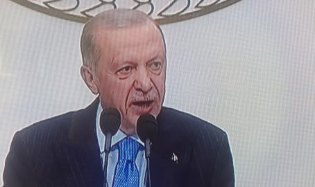 Cumhurbaşkanı Erdoğan: Kamu hizmetlerinde şikâyetler çoğaldı