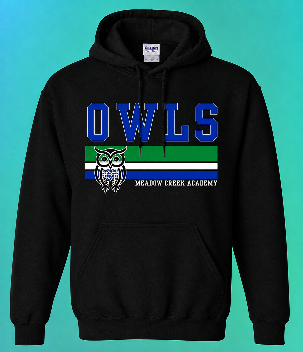 Thumbnail: Owls Stripe Hoodie
