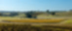 GossetWinesVineyard-Header-uai-1032x451.jpg