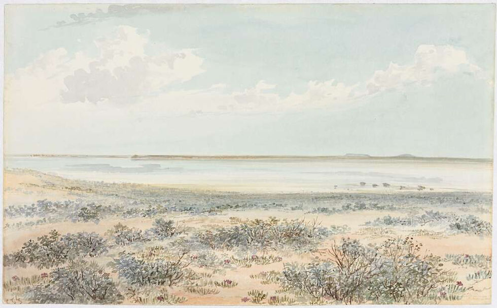 S.L. [i.e. salt lake] looking SW Sept. 1st.jpg