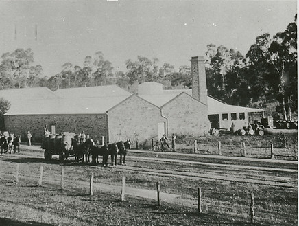 Horsedrawn wagons delivering winebarrels from the winery..jpeg