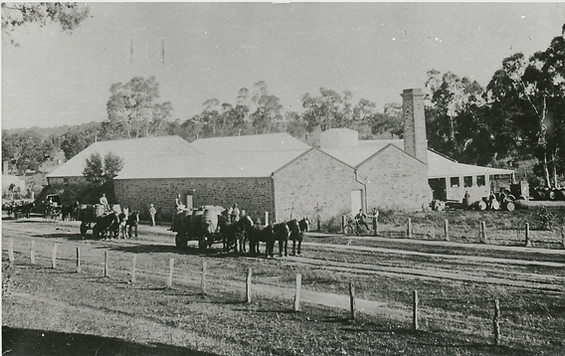 Horsedrawn wagons delivering winebarrels