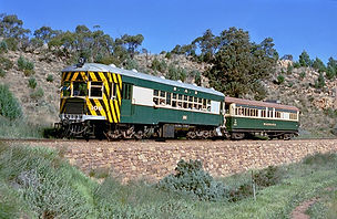 Barwell Bull - Pichi Richi Railway Railc