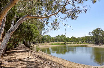 Gleeson-Wetlands.jpg