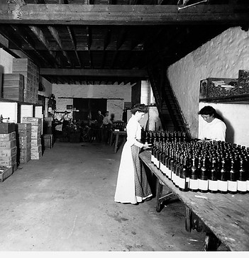 Labelling champagne at Auldana Vineyards 1910 B-62607.jpeg