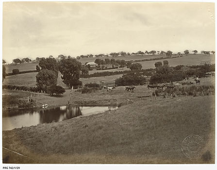 Wakefield river near Mintaro (1870-1880) PRG-742-1-29.jpeg