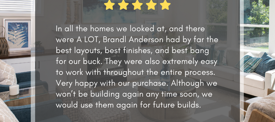 Brandl Anderson Review 1.png