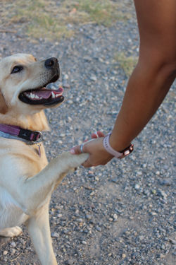 317240429_582001147258898_3469328382497509222_n