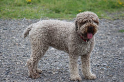 347254609_750485670410444_8591332815933809142_n