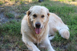 313441742_558524189606594_2113325114176538002_n