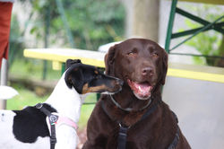 347590461_750480750410936_4622731312866134941_n