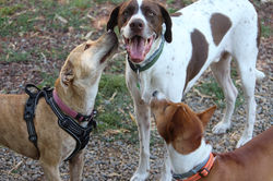 312982661_551755956950084_2920561806163887511_n