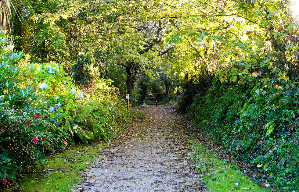 DSCN4254.JPG