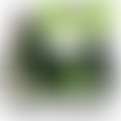 Anúncio em Bike Som: impacto e resultado com baixo investimento