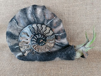 escargot_edited.jpg