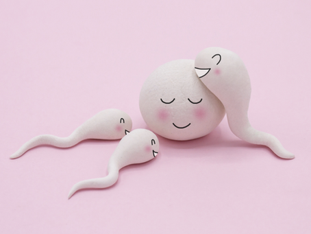 Key Factors for Enhancing Conception and Acupuncture