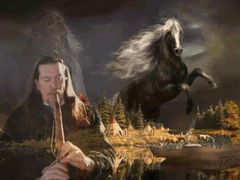 horse1.jpeg