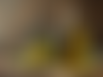 Cuisine niçoise : L'huile d'olive artisanale de Nice Collines