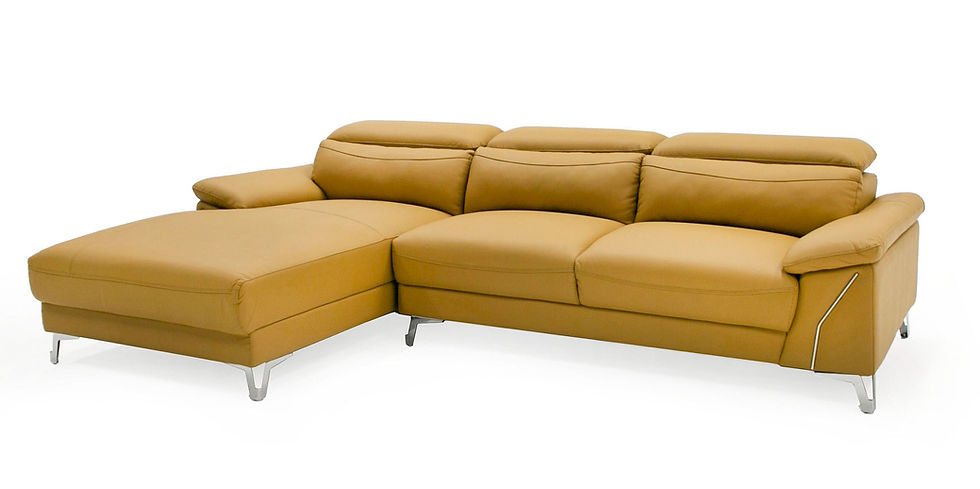 Leather Sectional