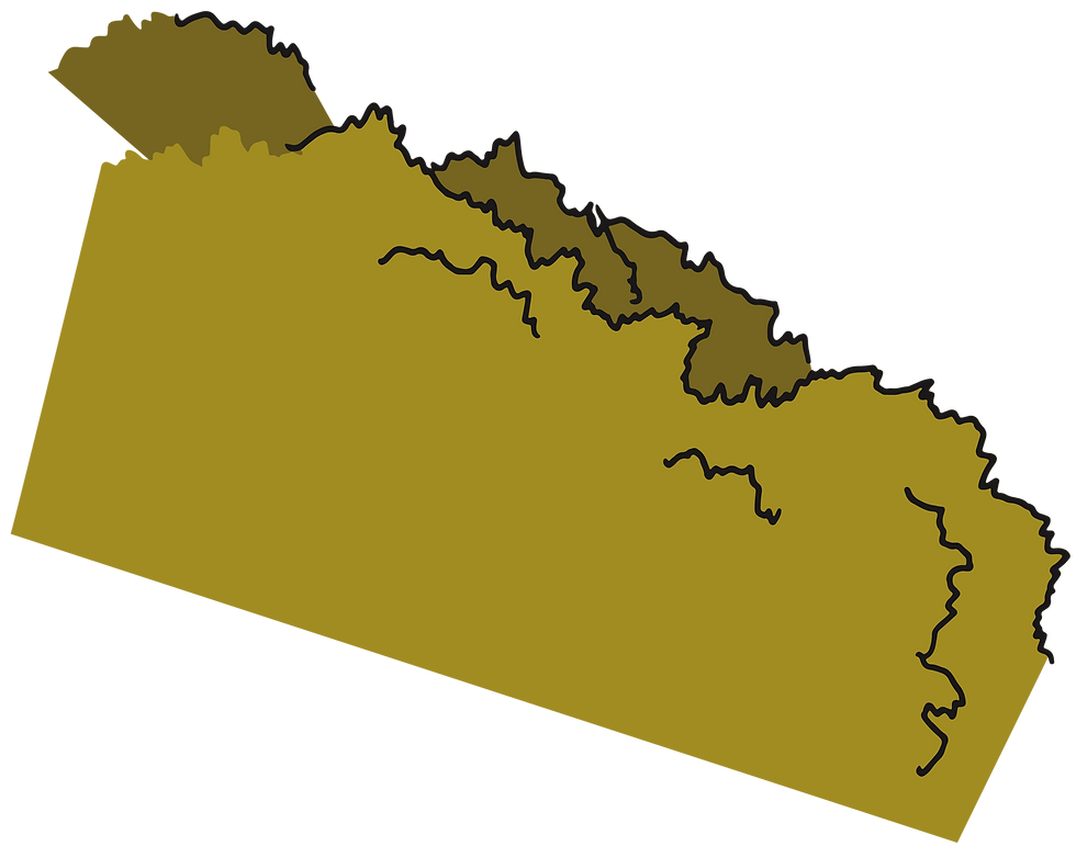 Illustrated green bushes