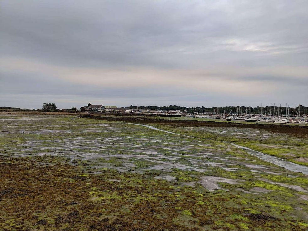 Bembridge landscape shot. Absolute Project Management.