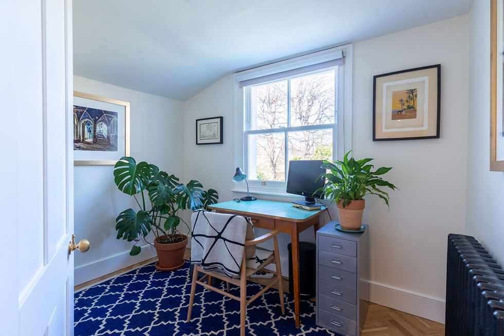 Blue floor rug with study area at window. Plants surround to create a calming office area. Renovation by Absolute Project Management