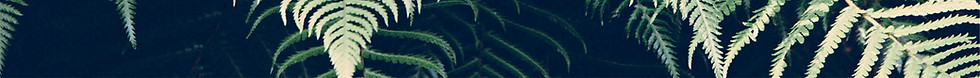 Kirsteen Greenholm gestalt psychotherapy psychoterapist therapist links ferns