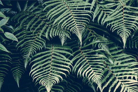 117d700ff79f490587e0bbaad89bc84f.jpeg