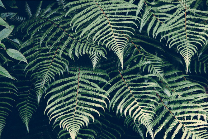untitled image