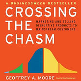 Crossing the Chasm.jpeg