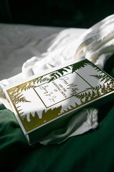 A white hard cover book with gold details including the title of the book and fern leave silhouettes inside of rectangular boarders. 