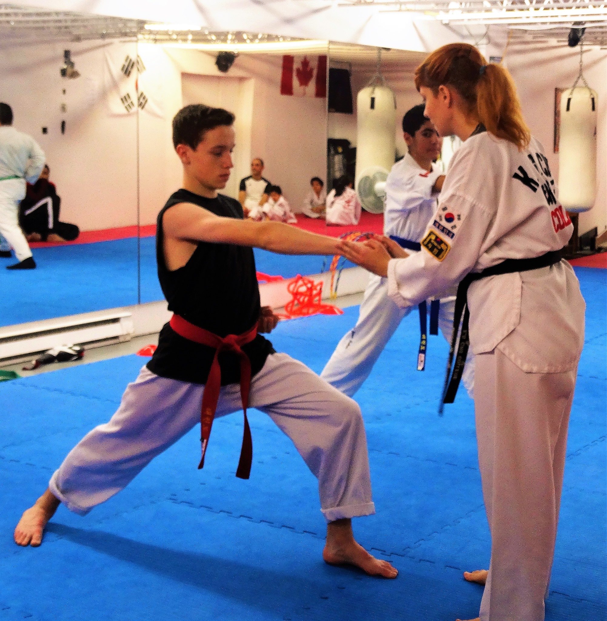 Photos taekwondo 2017 (3)