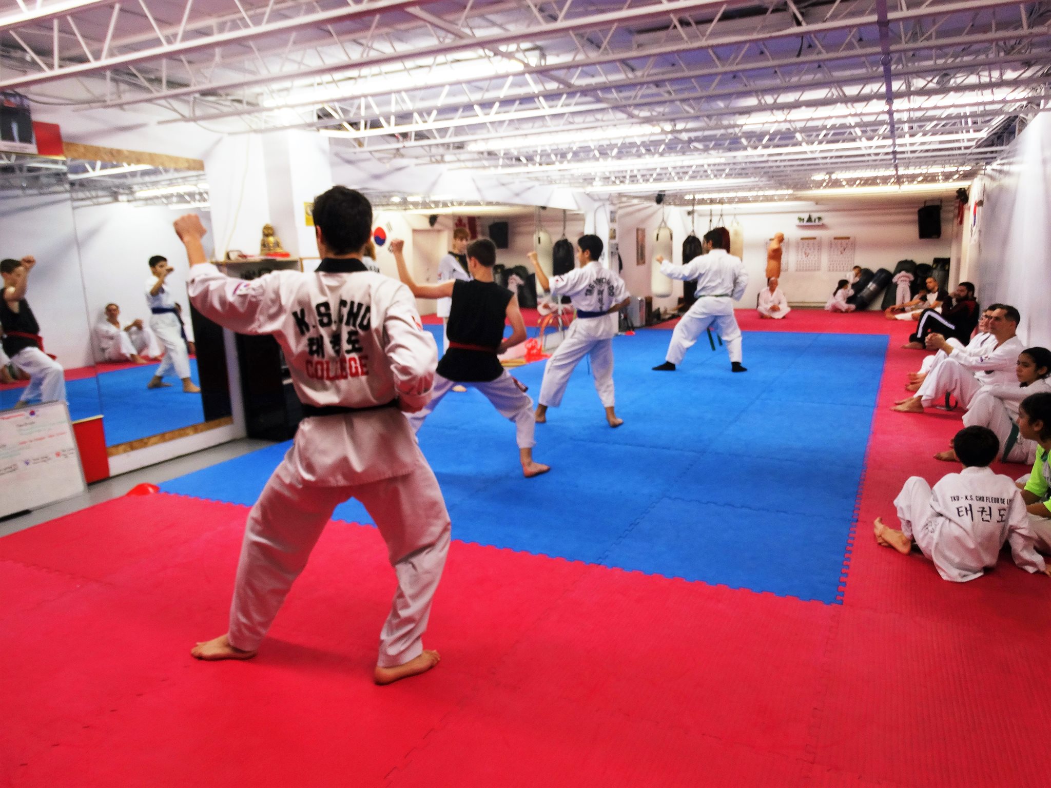 Photos taekwondo 2017 (8)