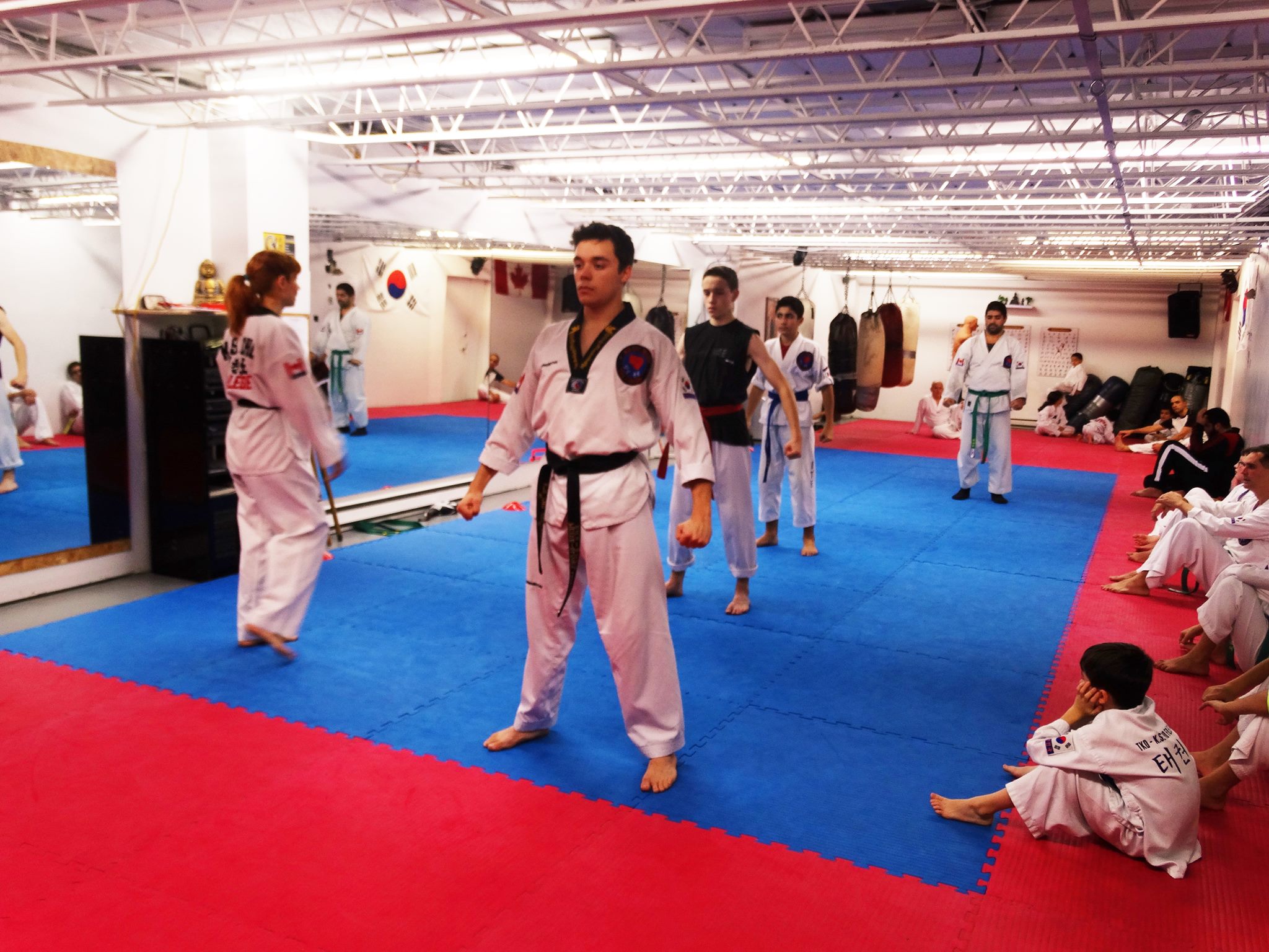 Photos taekwondo 2017 (17)