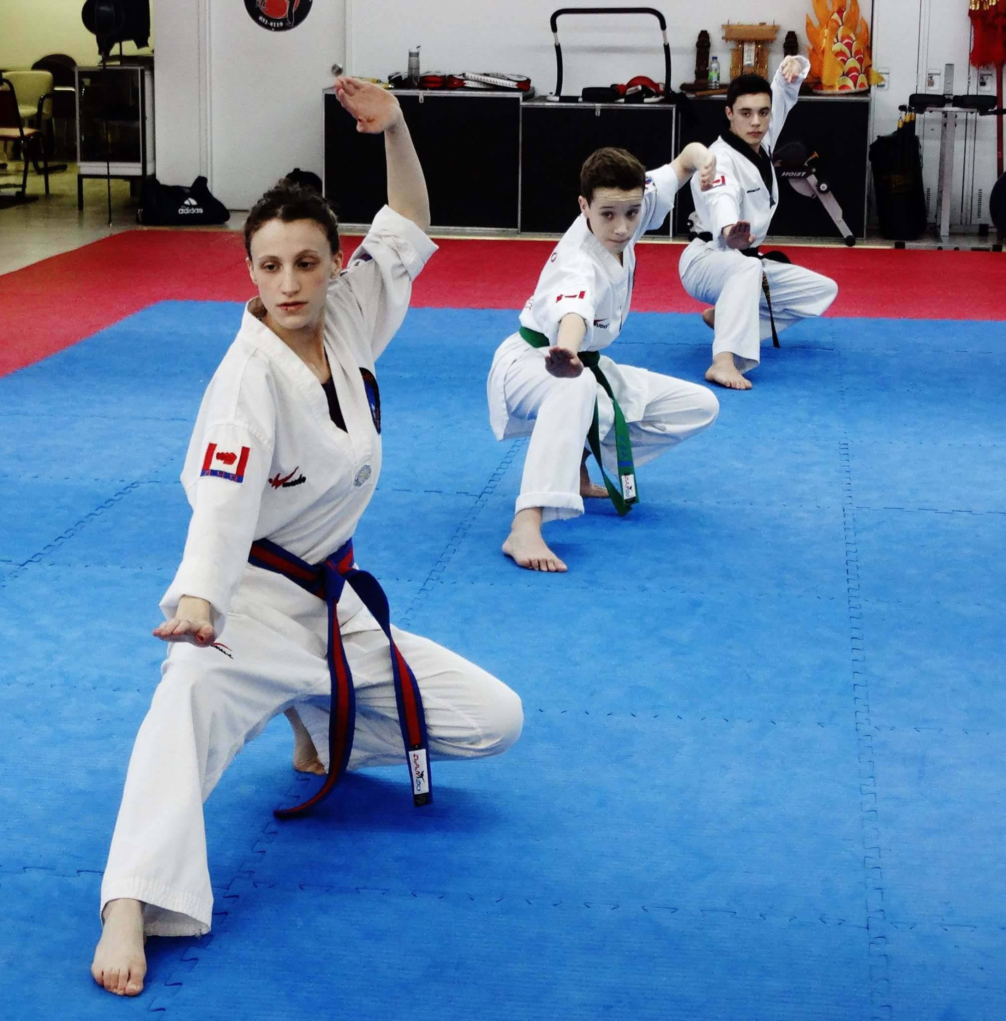 Photos taekwondo 2017 (7)
