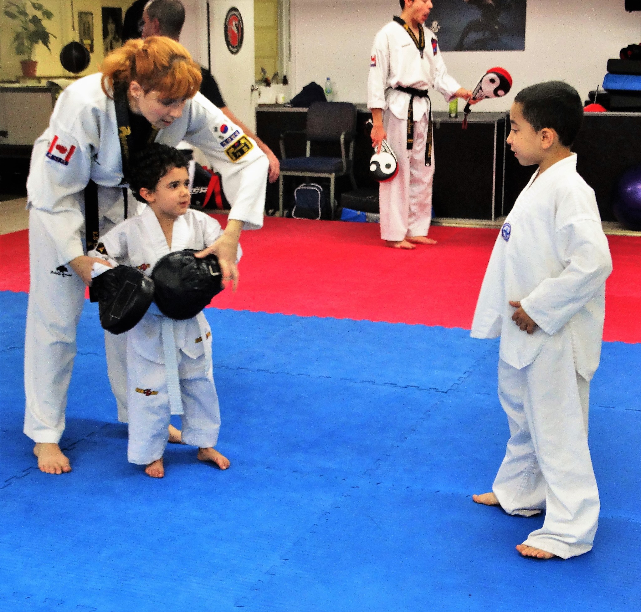 Photos taekwondo 2017 (12)