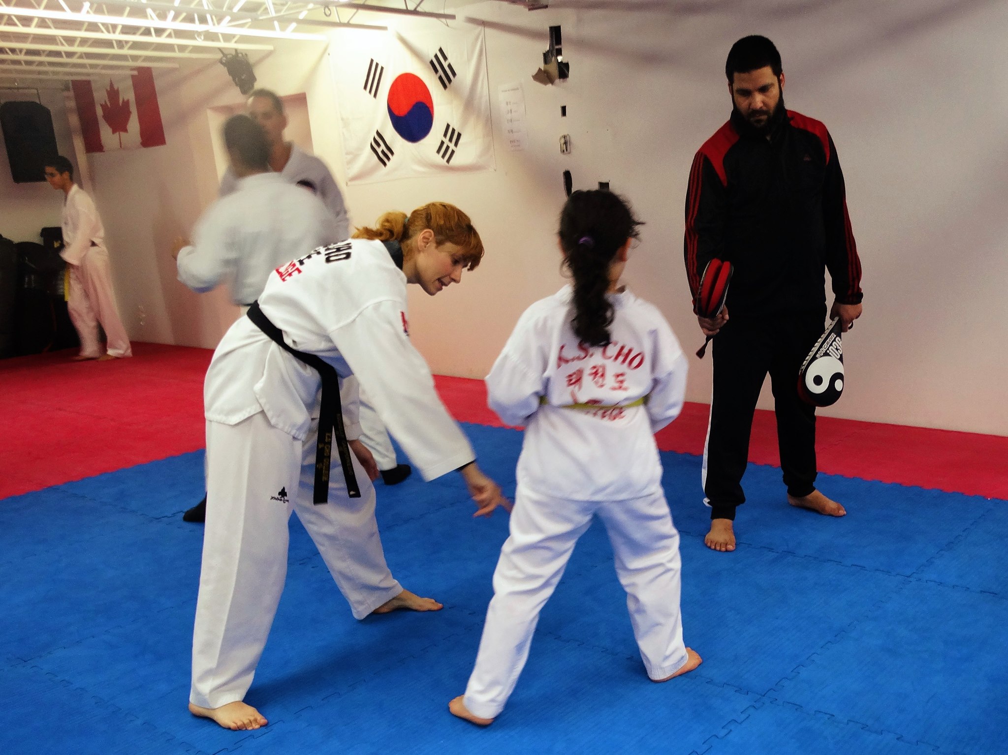 Photos taekwondo 2017 (15)