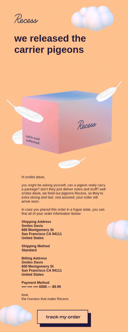 An example of post purchase email used by succesful e-commerce brands to generate more trust with their customers 